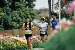 BIB: 
                            <button type="button" onclick="openModal(25972436)" class="btn btn-primary btn-sm float-right btn-popup" data-toggle="modal" data-target=".modal-high-quality">
                        <i class="fas fa-shopping-cart"></i> Add to Cart
                    </button>
                                            <button type="button" onclick="isThisMe(25972436, true)" class="btn btn-success btn-sm float-right btn-popup btn-isme hidden" data-toggle="tooltip" data-placement="bottom" title="นี่คือรูปของคุณใช่ไหม คลิกที่นี่เพื่อเอาเข้าอัลบั้ม">
                        <i class="fas fa-plus"></i> Add to album
                    </button>
                    <button type="button" onclick="isThisMe(25972436, false)" class="btn btn-warning btn-sm float-right btn-popup btn-isnotme hidden">
                        <i class="fas fa-ban"></i> Remove from album
                    </button>